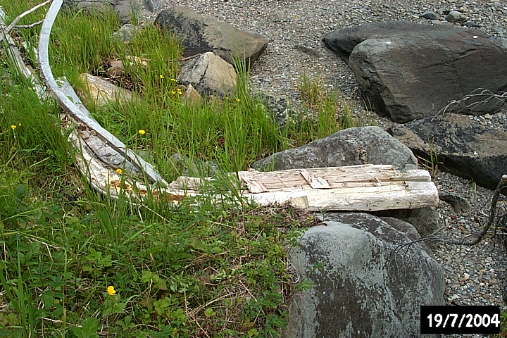 Remains of a 20th-century trap skiffat Biche Arm West.